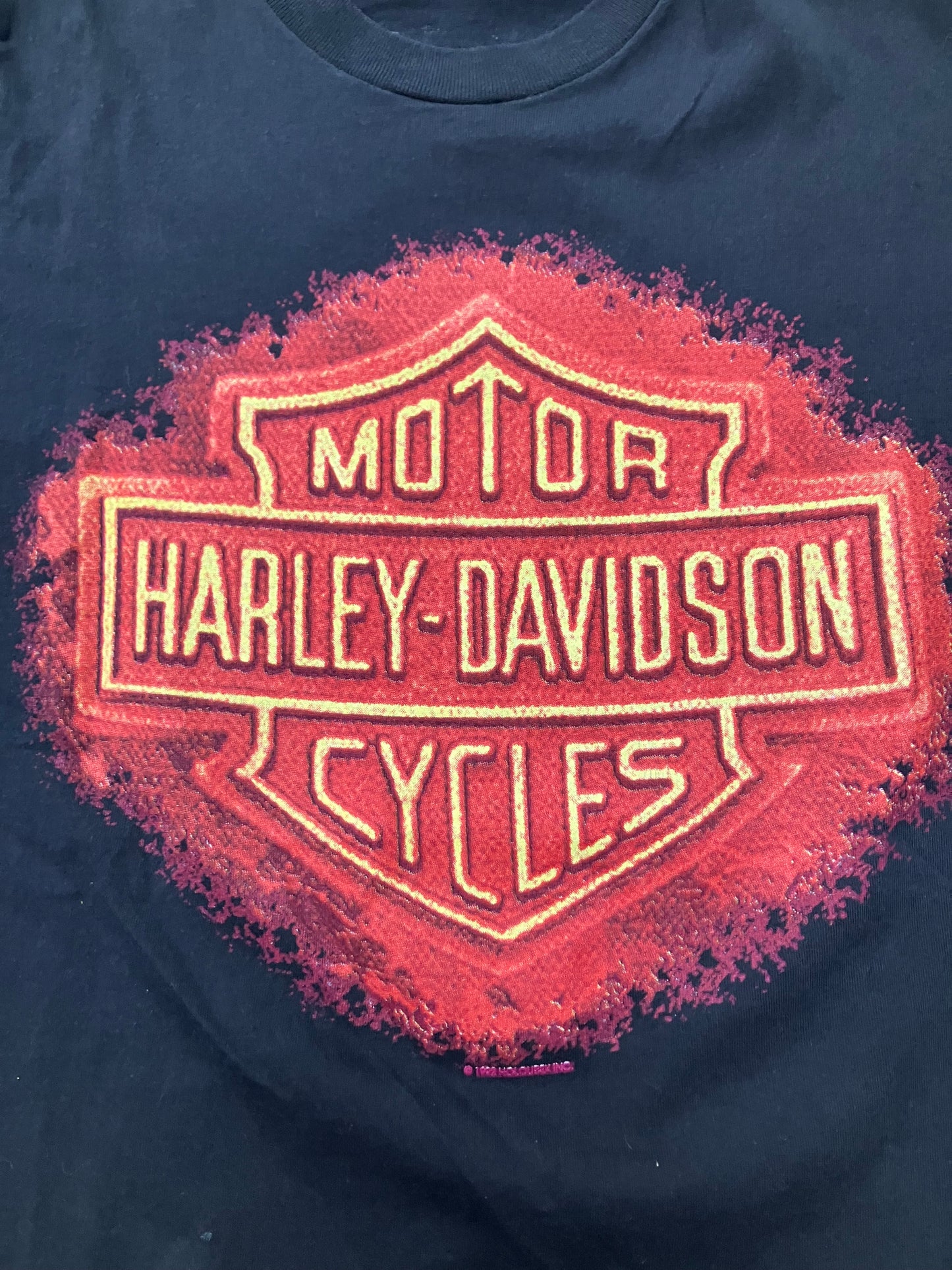 Harley Davidson Vintage ‘90s Tee