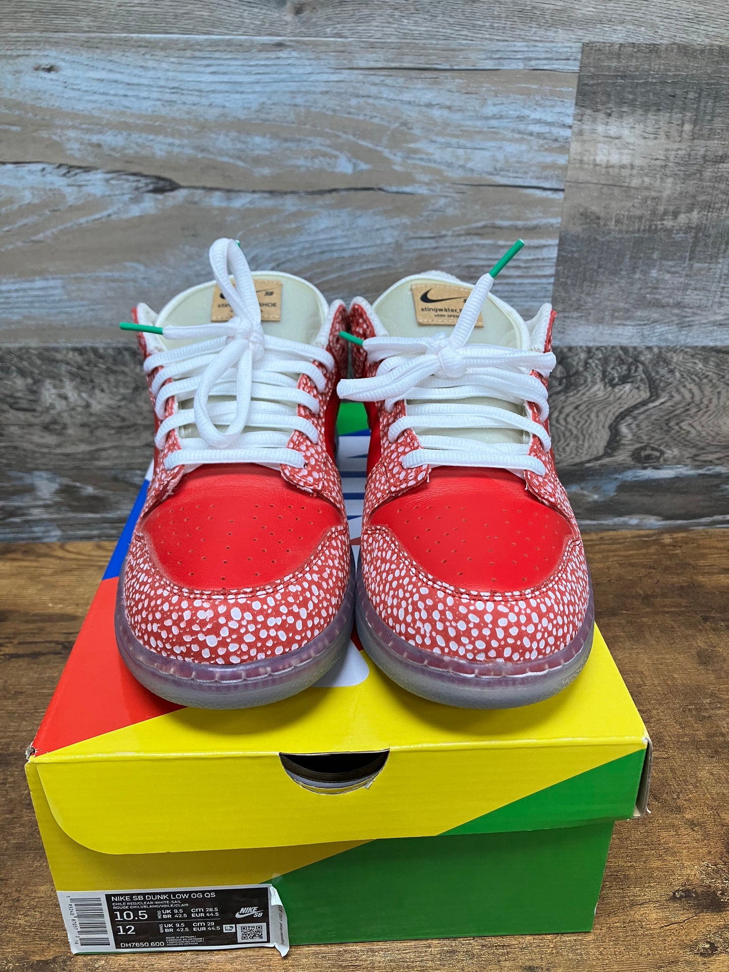 Nike SB Dunk Stingwater Size 10.5