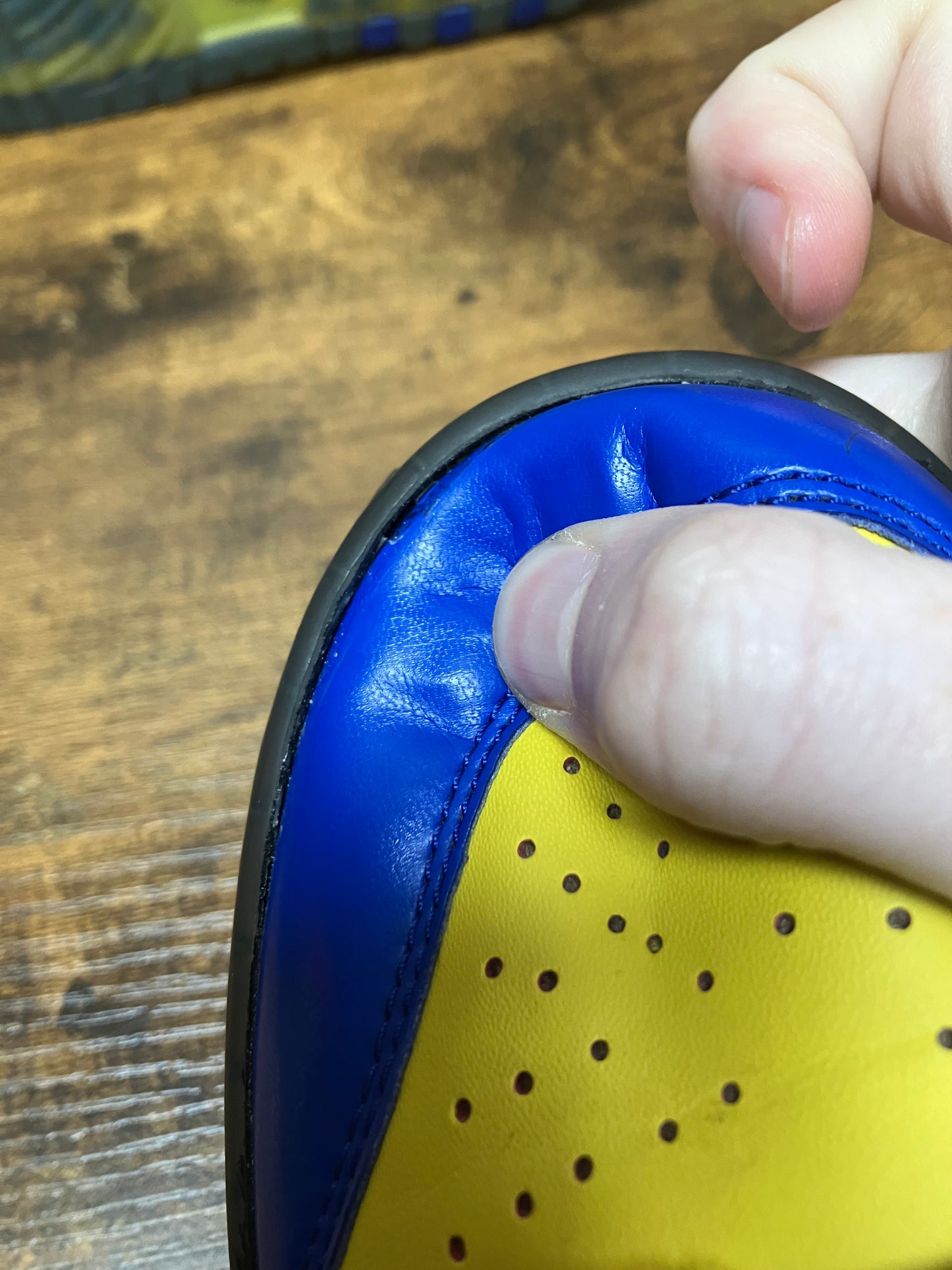 Nike Dunk Hi Doernbecher Size 5y