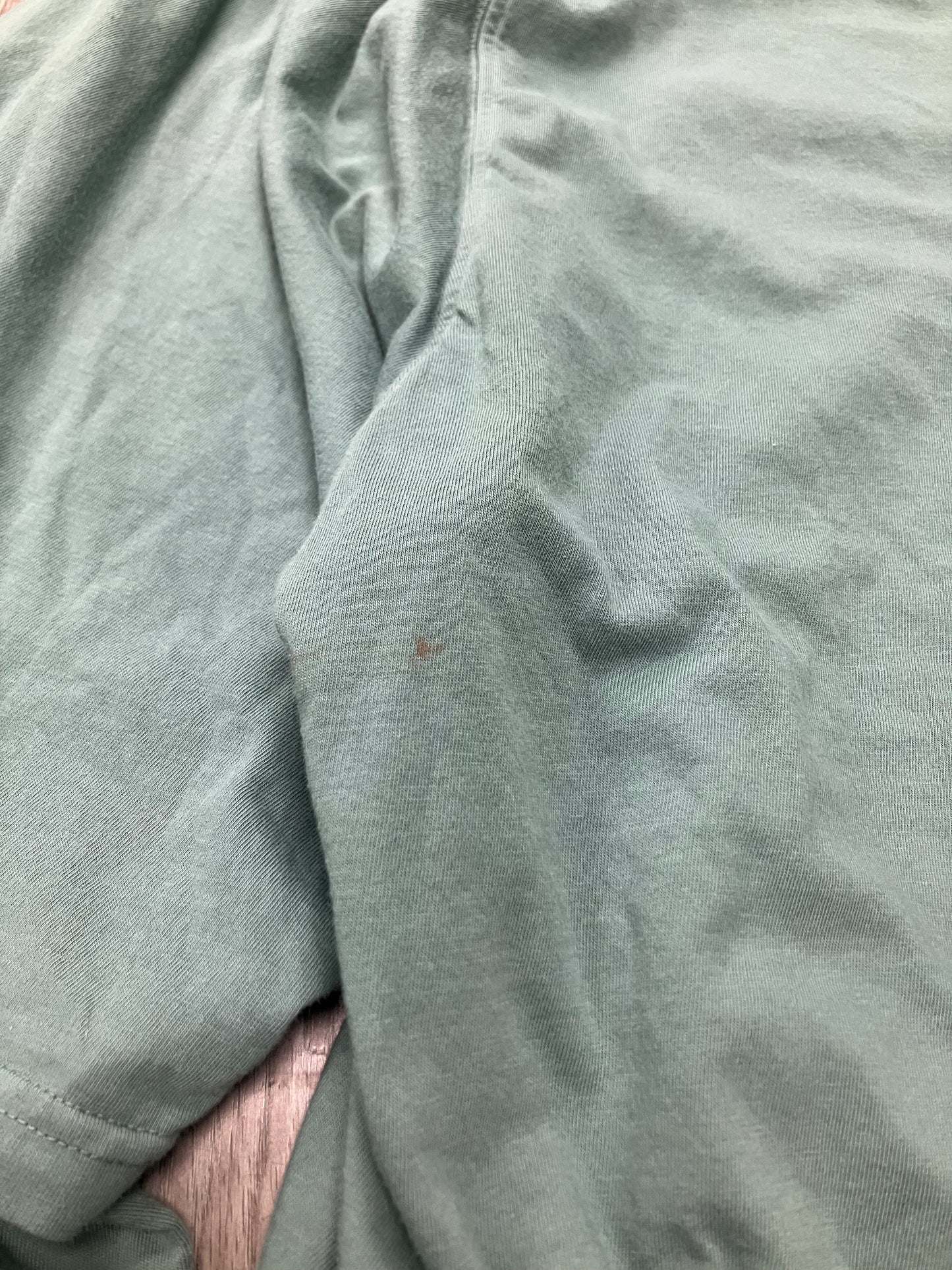 L-Rick Owens DRKSHDW Hustler aqua Hoodie