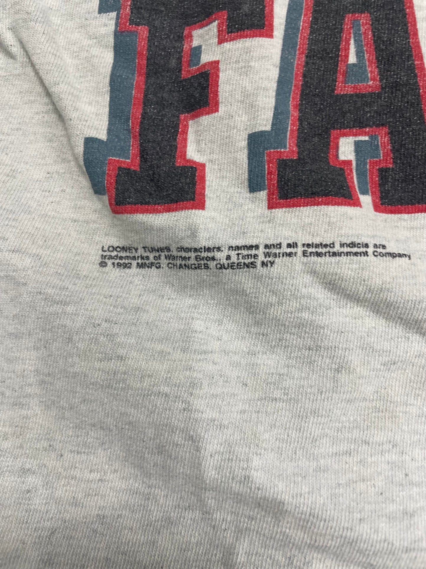 XL - Vintage 90s NFL Atlanta Falcons Looney Tunes Taz Tee