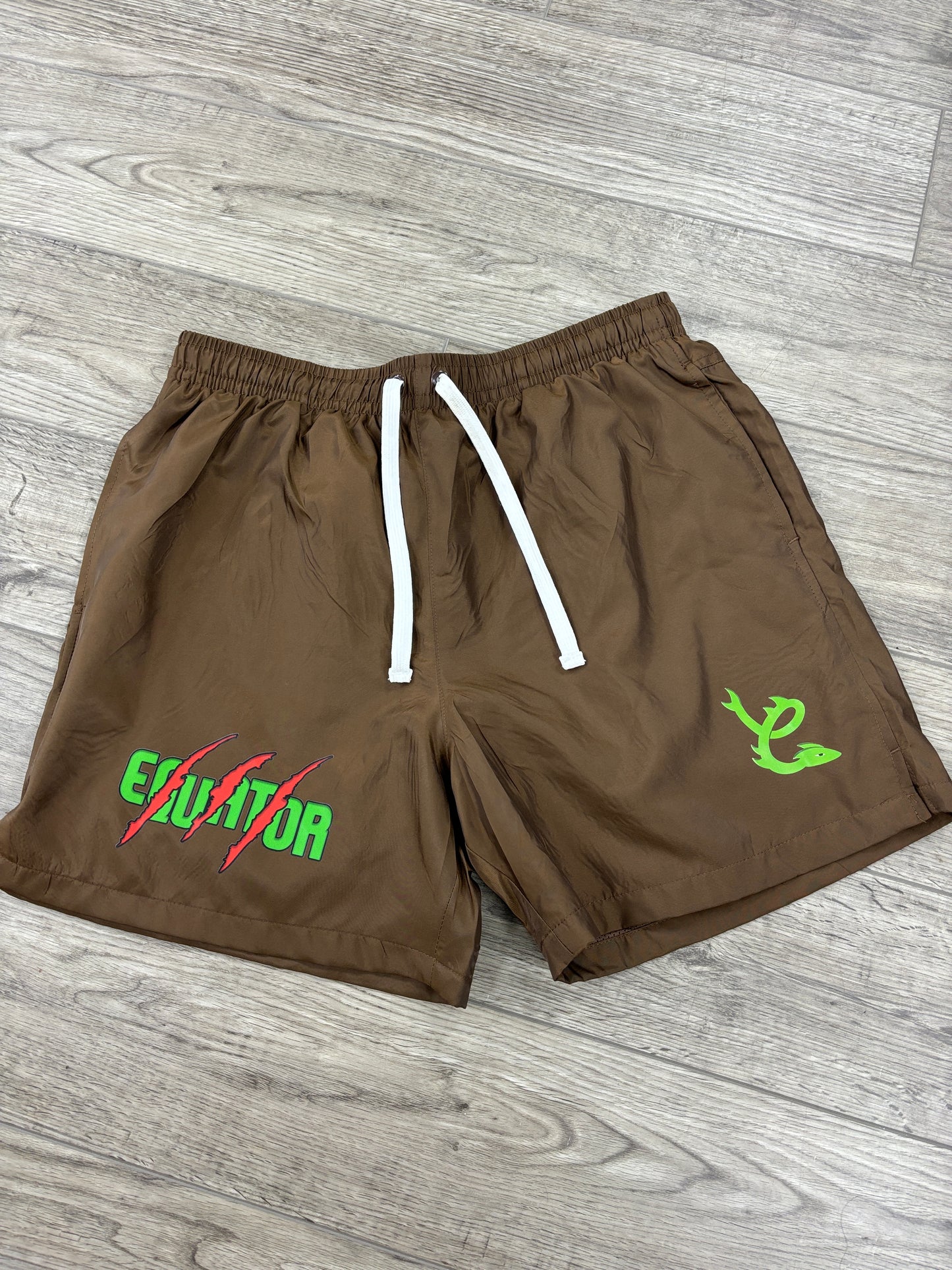 Equator nylon shorts brown