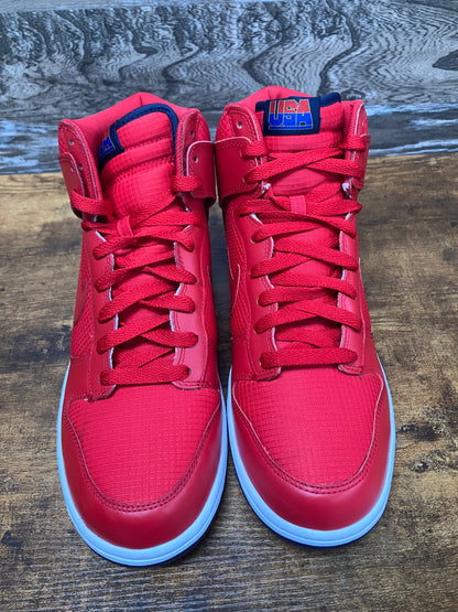 Nike Dunk High USA Sz 11.5