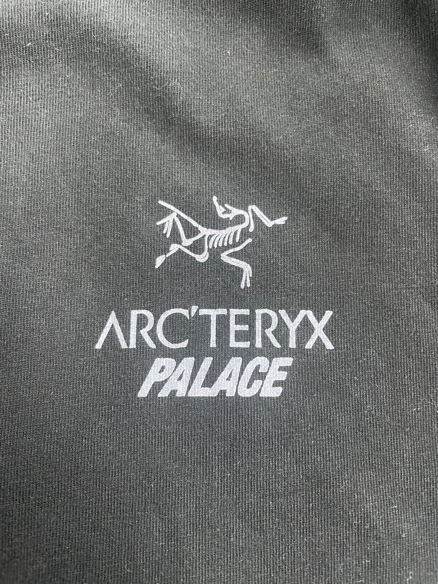 Palace Arc’teryx Tee Size Medium
