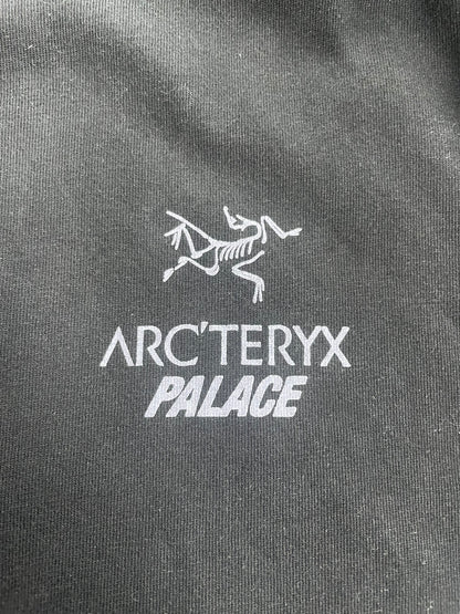 Palace Arc’teryx Tee Size Medium