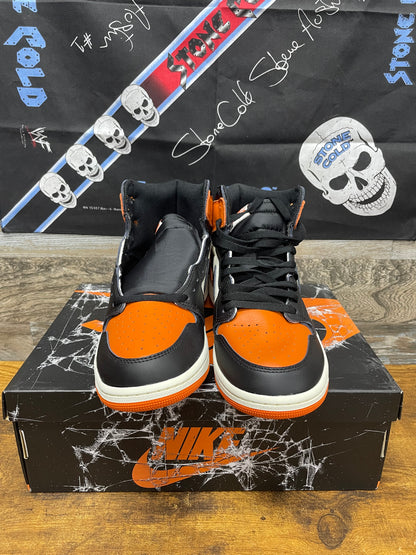 Nike Air Jordan 1 High "Shattered Backboard 10