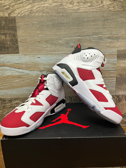 Air Jordan 6 Carmine 9.5
