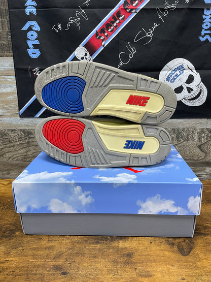 Air Jordan 3 Retro Seoul 2.0 9.5