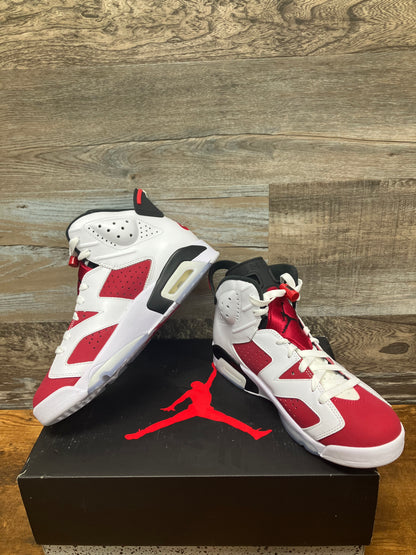Air Jordan 6 Carmine 8