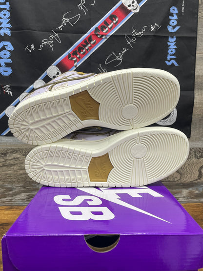 Nike Dunk SB ‘City of Style Size 10.5