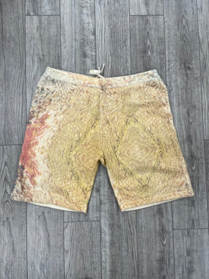 L - Stussy Wings Multicolor Shorts