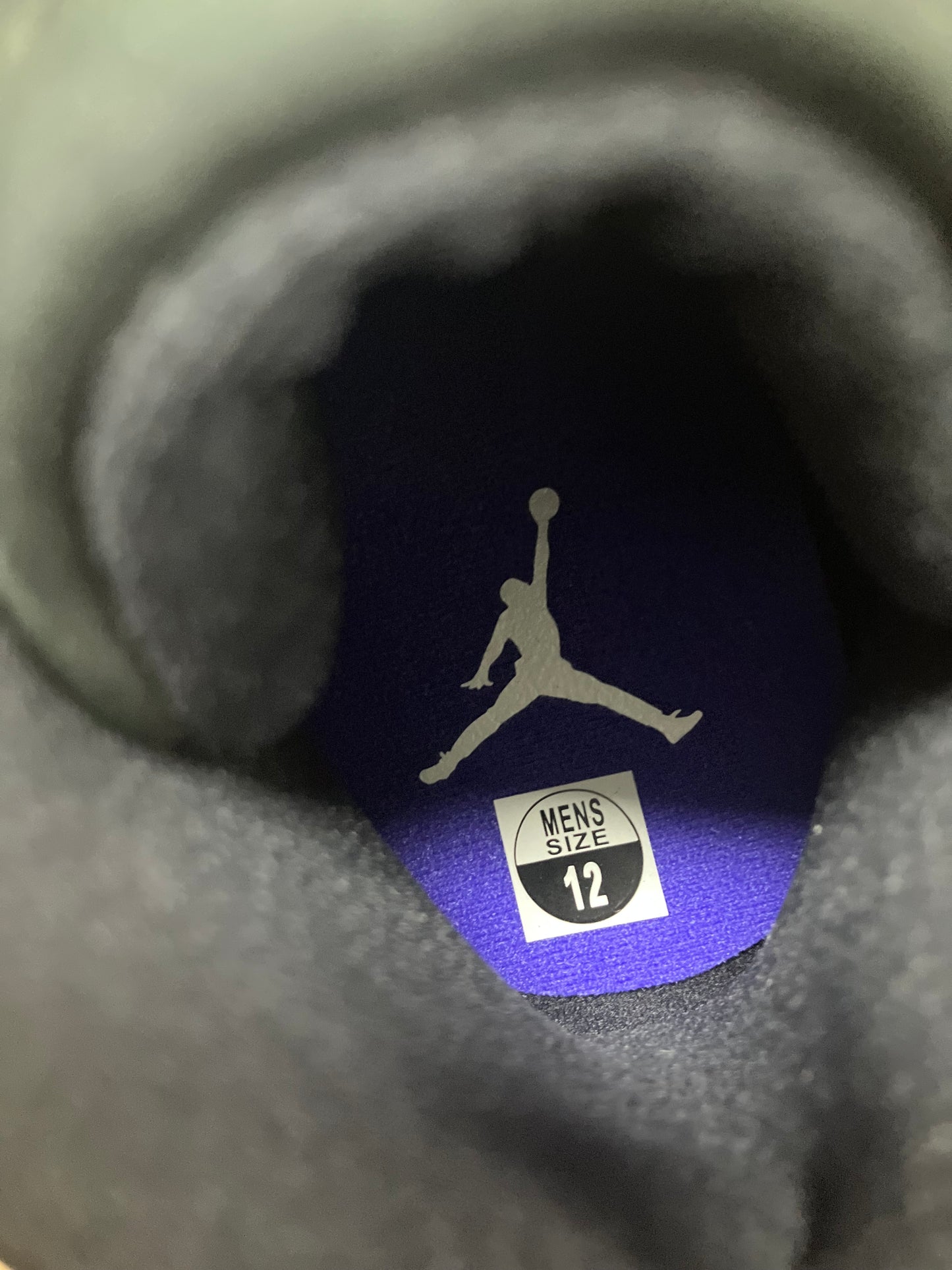 Air Jordan 12 Black Concord 12