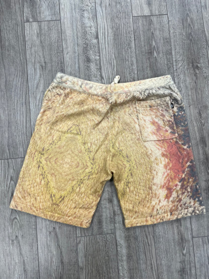 L - Stussy Wings Multicolor Shorts