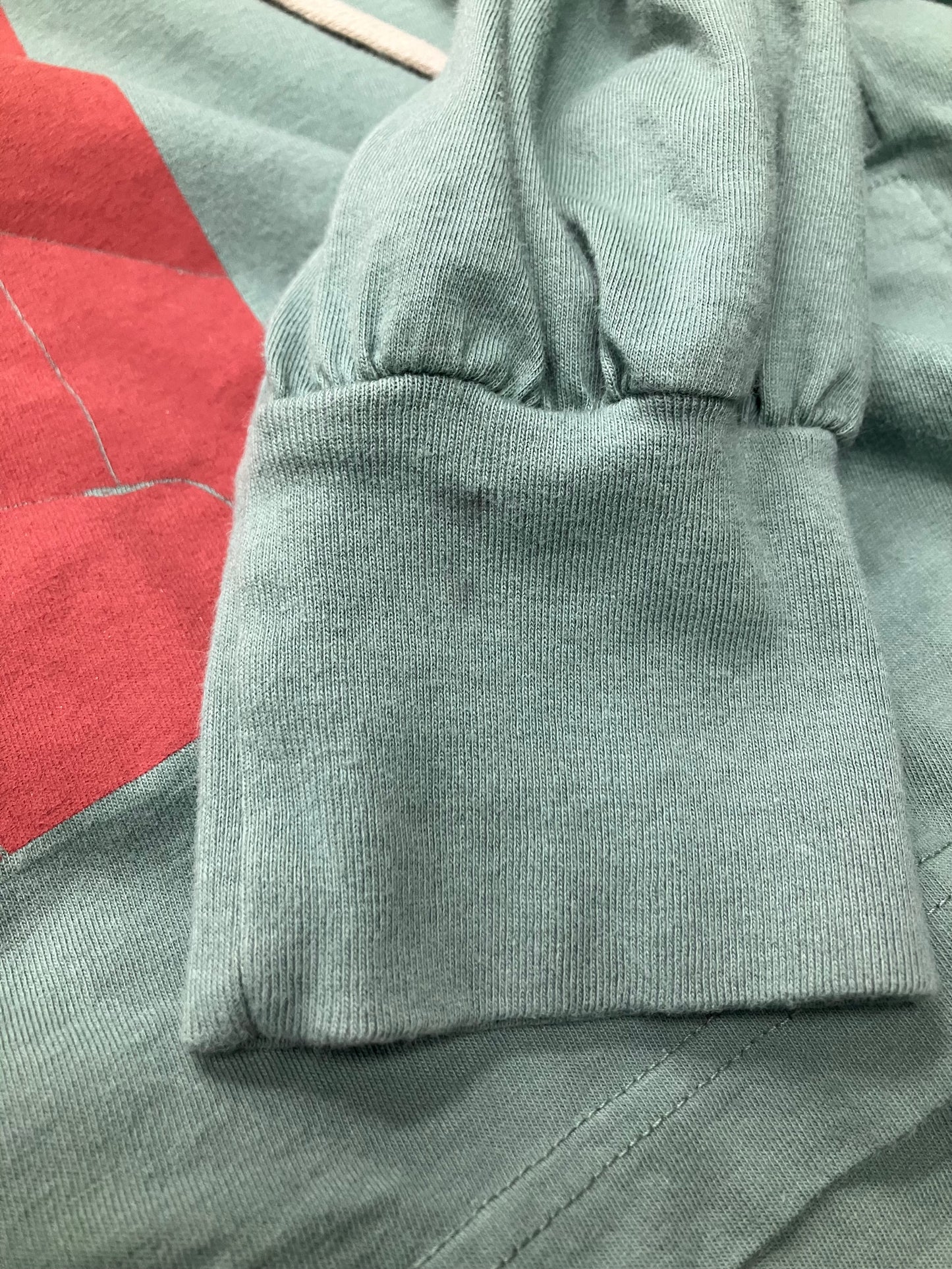 L-Rick Owens DRKSHDW Hustler aqua Hoodie