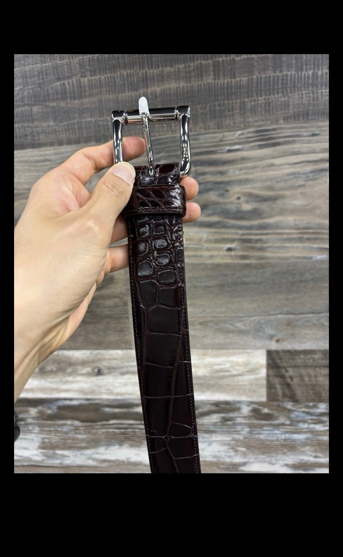 32-Ralph Lauren purple Label Alligator Belt Dark Brown