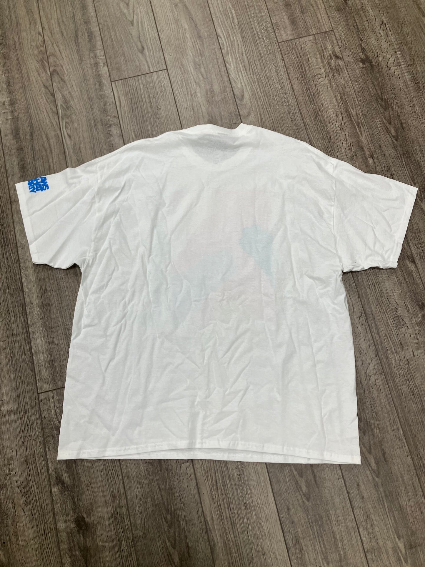 XXL-Kaws Brooklyn Museum Tee