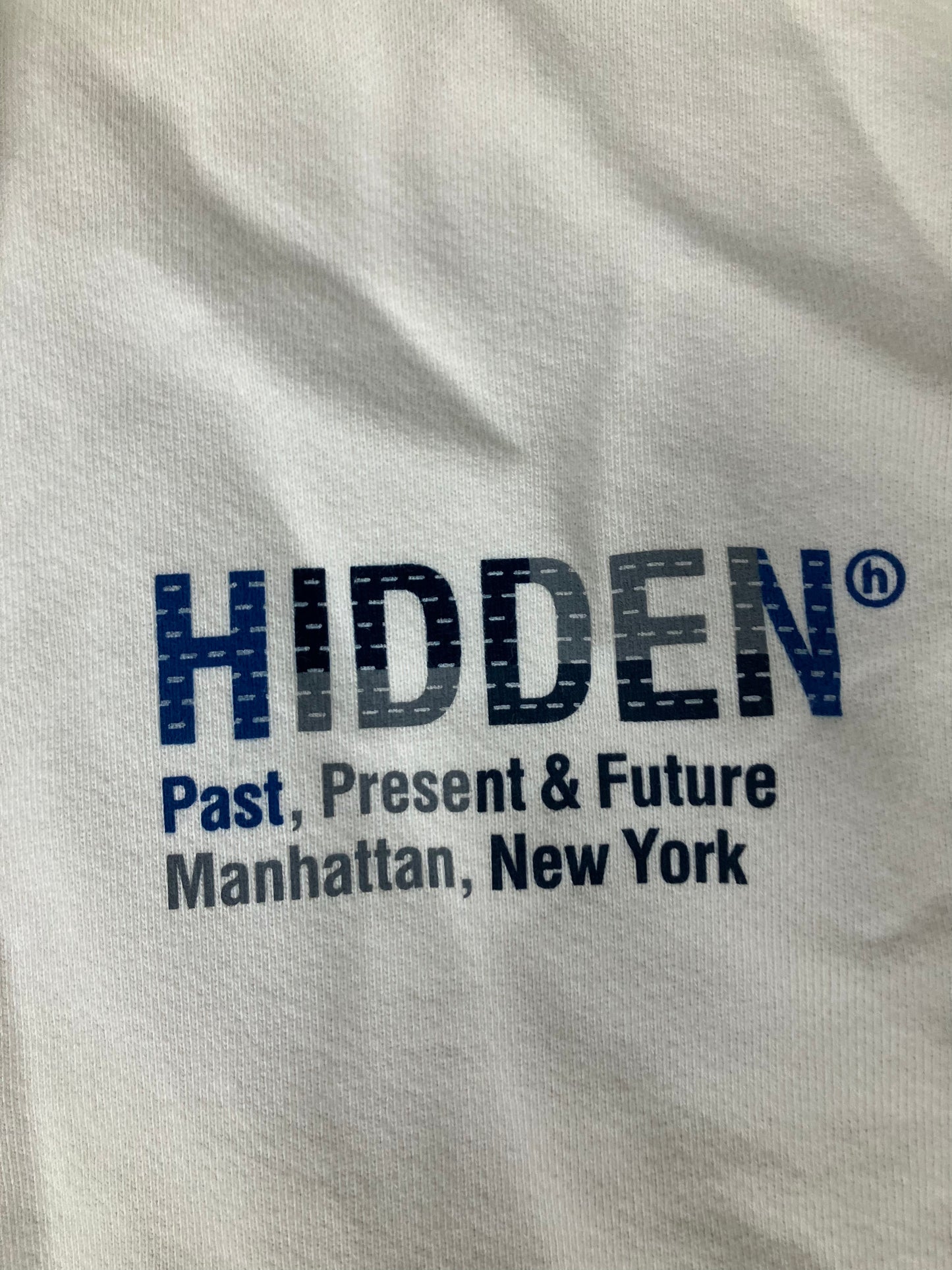 Hidden NY Boro Hoodie Natural Size M