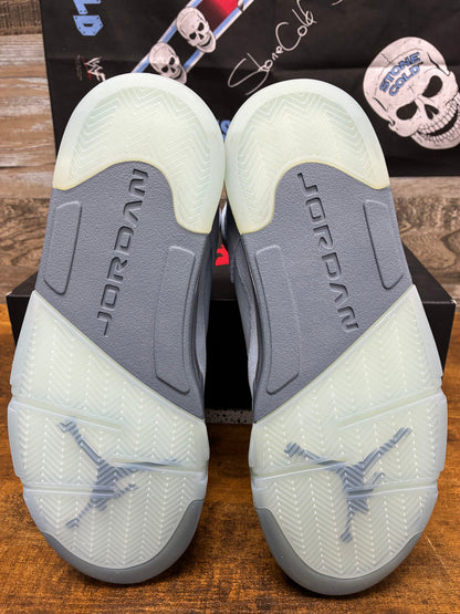 12W - Air Jordan 5 Bluebird
