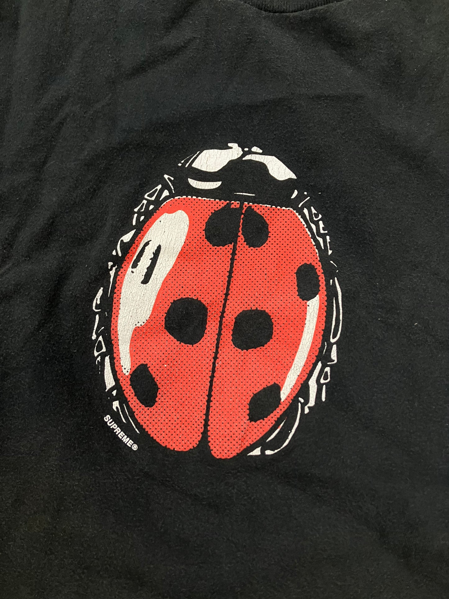 L-Supreme Ladybug Tee