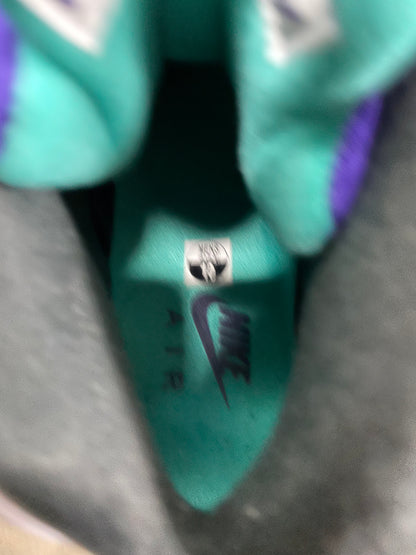 Jordan 5 Retro Grape 2025 Size 10