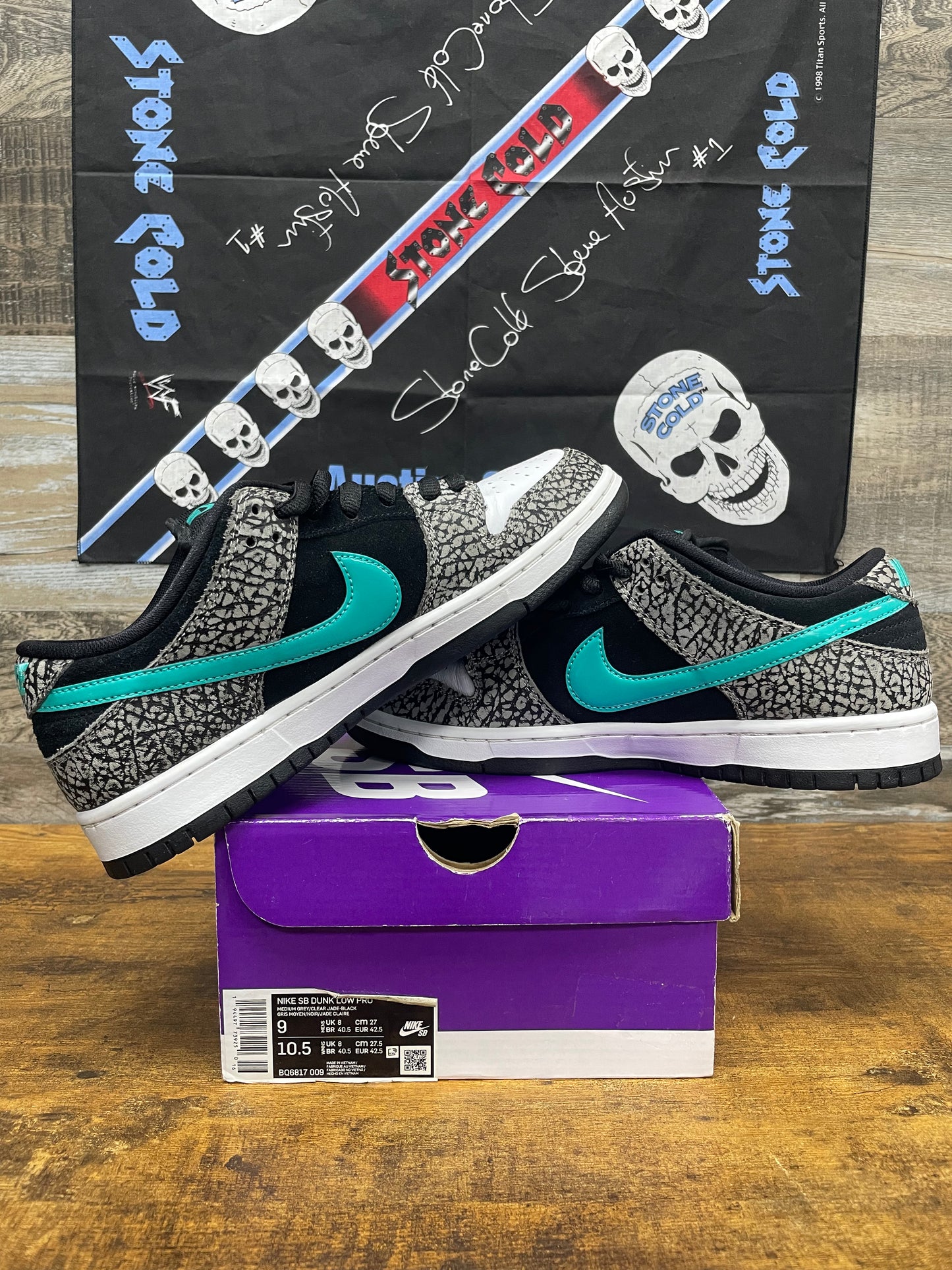 9-Nike Dunk Pro SB Low Atmos Elephant