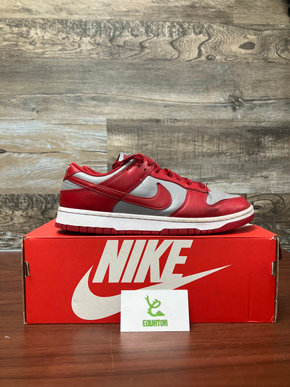 Nike Dunk Low Retro UNLV Size 10