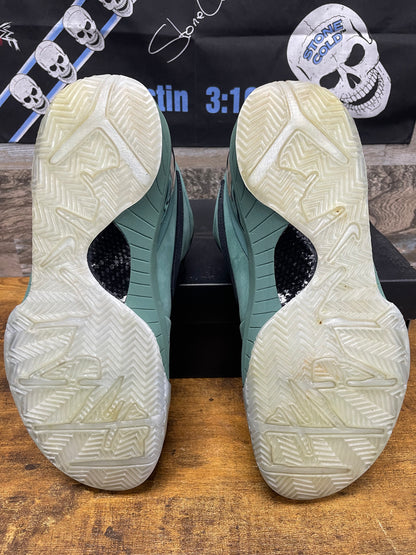 10.5 - Nike Zoom Kobe 4 Protro Girl Dad
