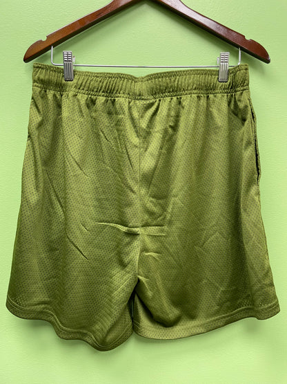 Equator shorts green