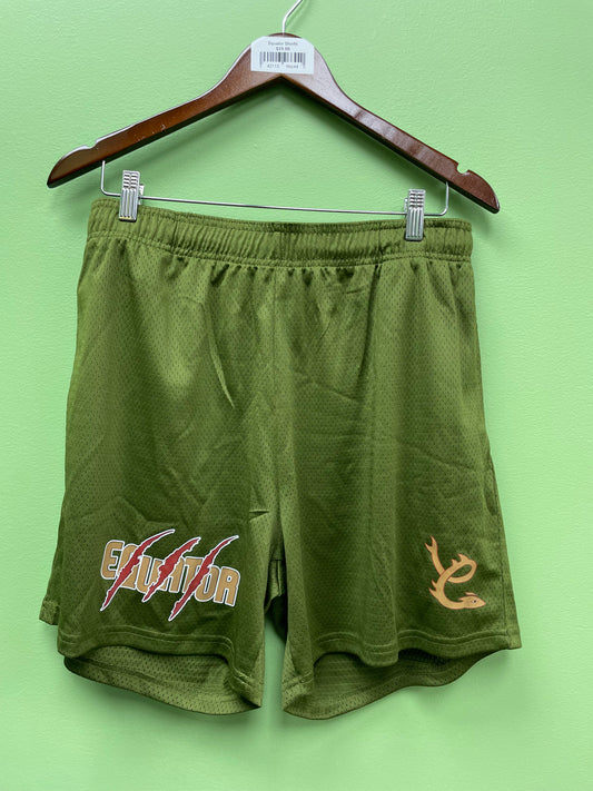 Equator shorts green